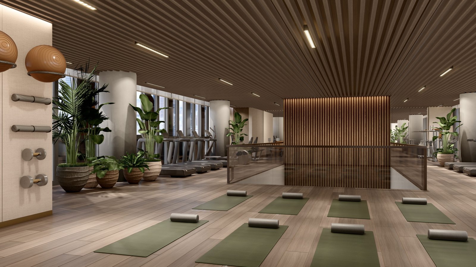 05_Sky Gym Upper Level (1)